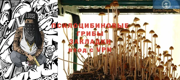 прущие грибы Семикаракорск