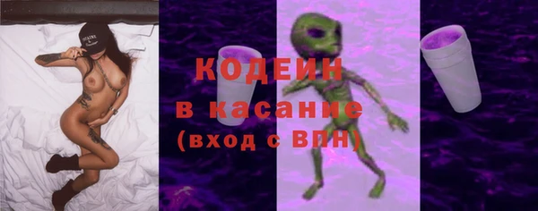 прущий лед Алзамай