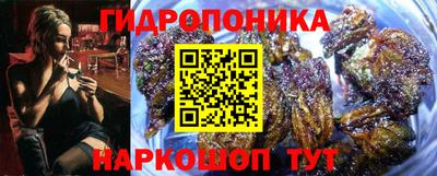 ECSTASY Кулебаки